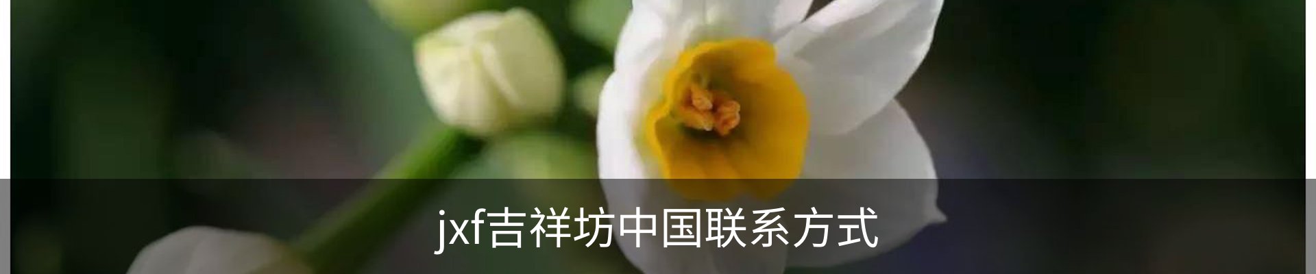 jxf吉祥坊中国联系方式